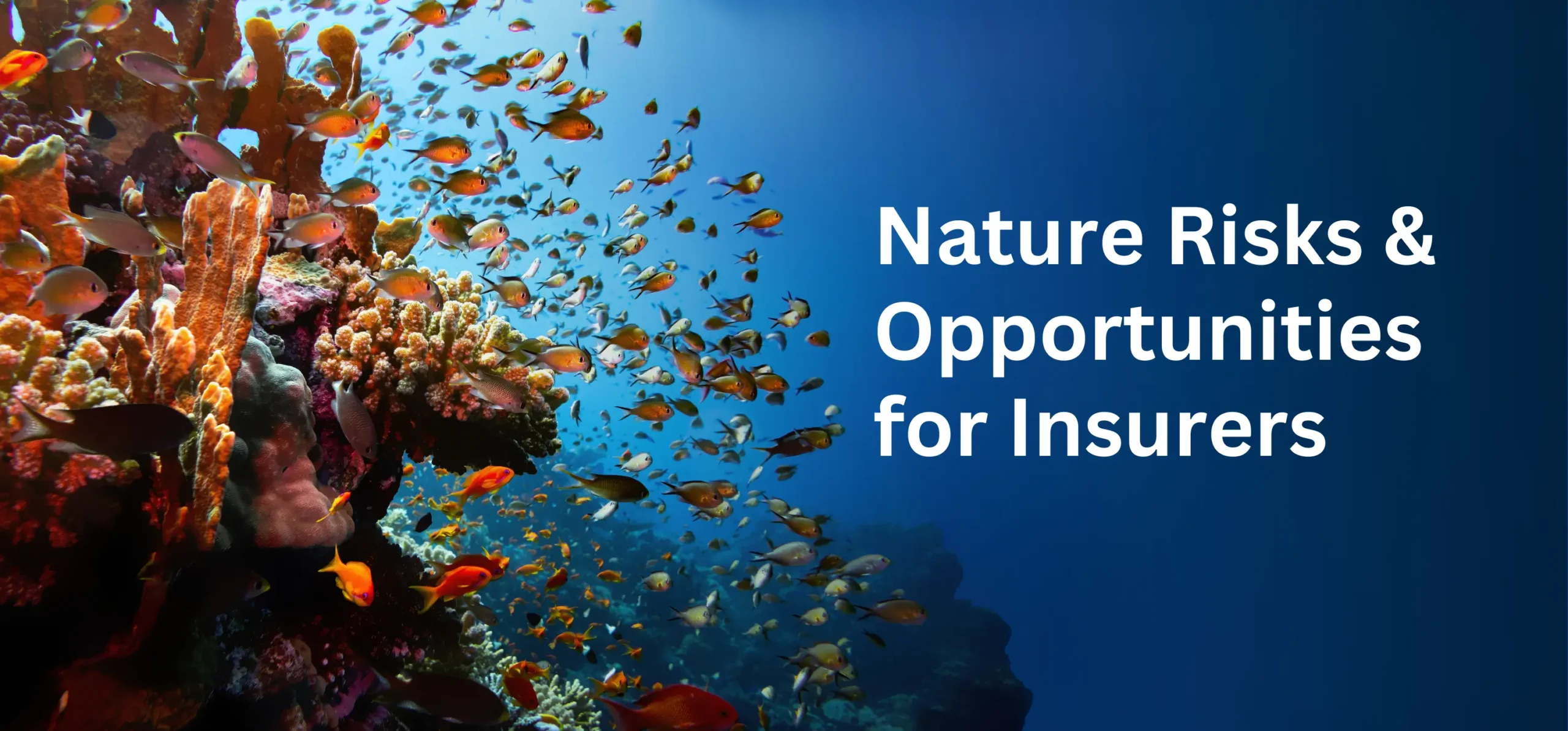 Nature Risks & Opportunities for Insurers