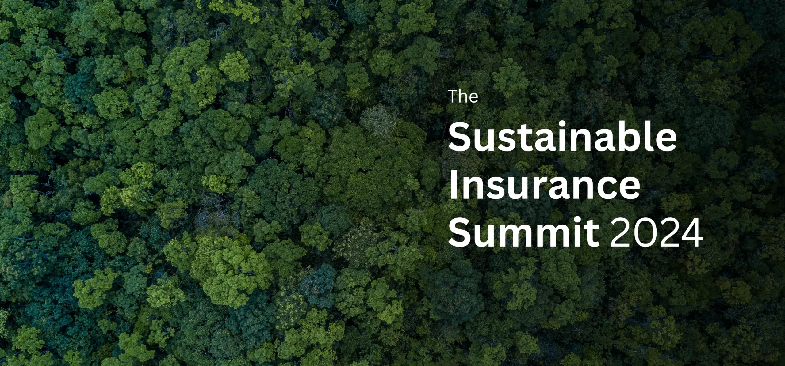 The Sustainable Insurance Summit