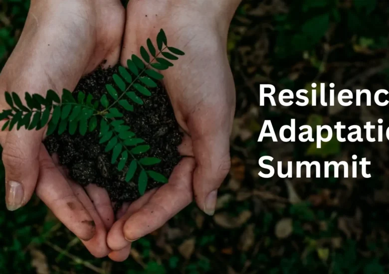 Resilience Adaptation Change
