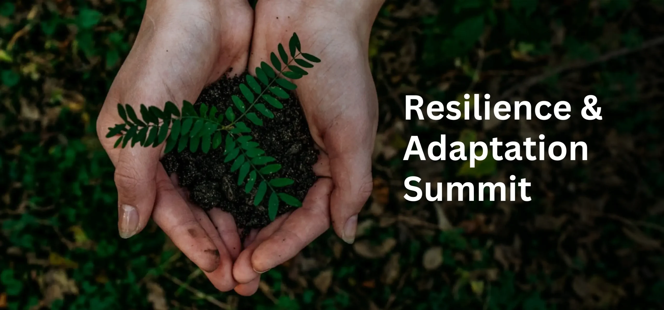 Resilience Adaptation Change