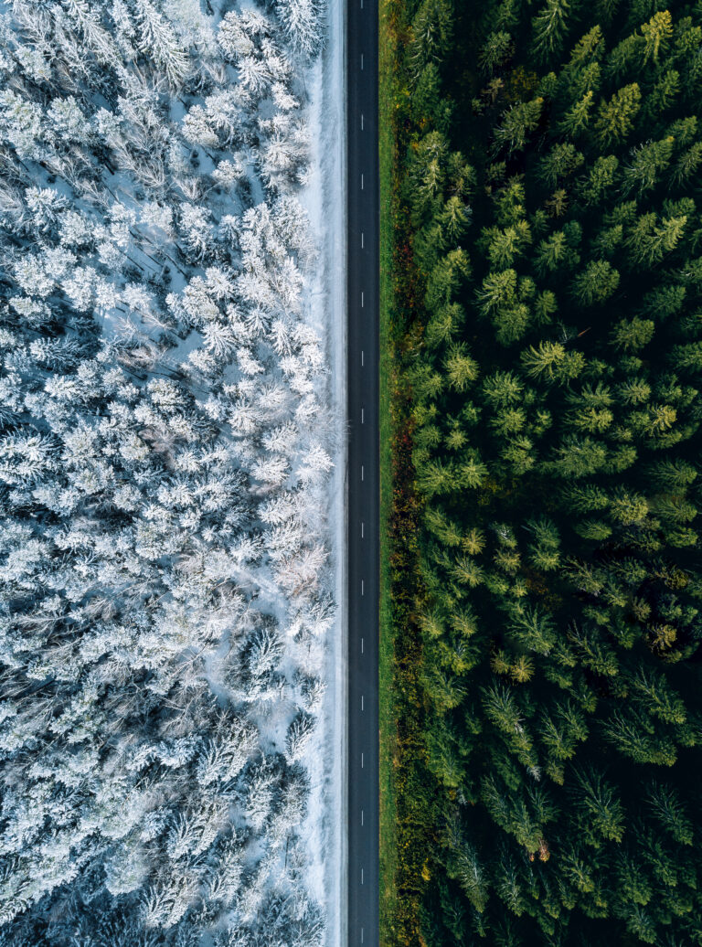 The 2024 Sustainable Insurance Roadmap & Report
