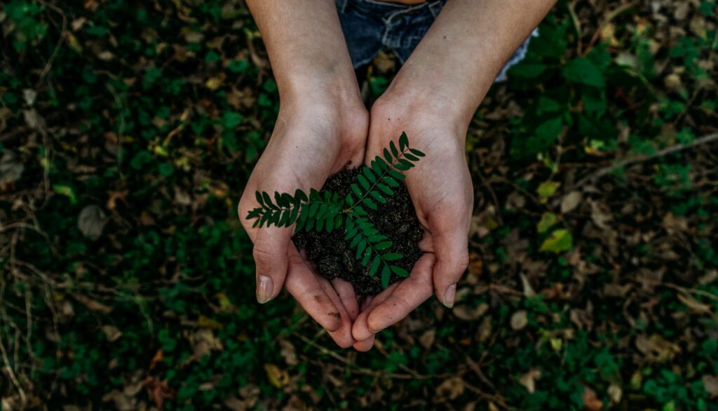 Field trip: Regen agriculture and carbon offsetting