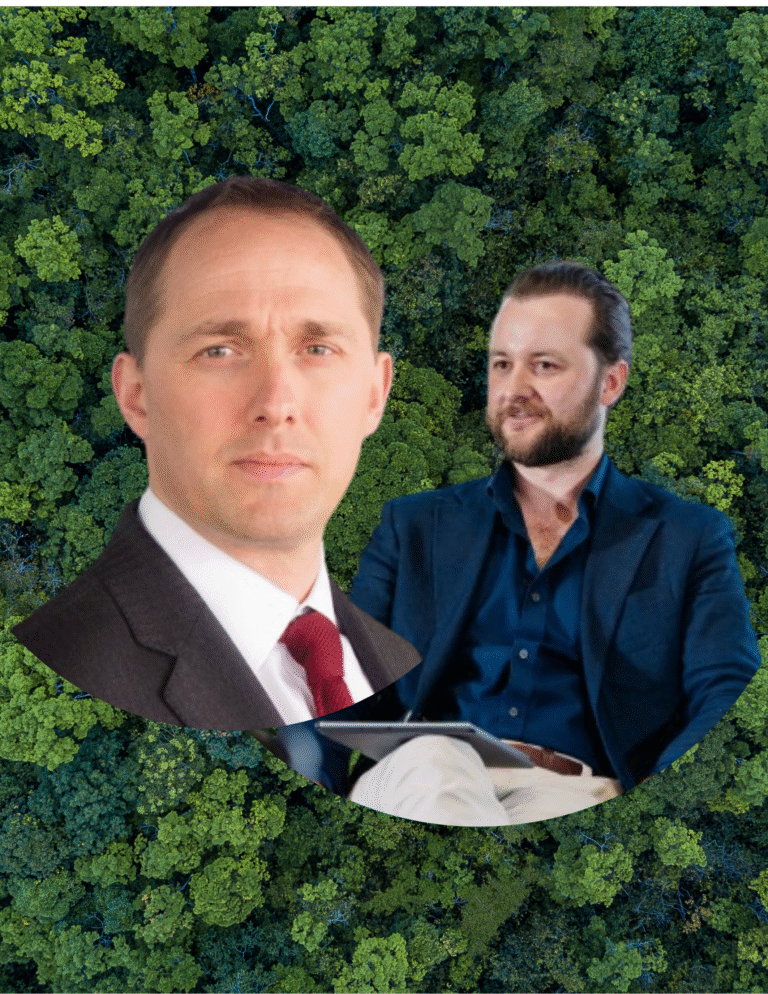 New ideas on nature